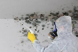 Fosston, MN Mold Remediation Company